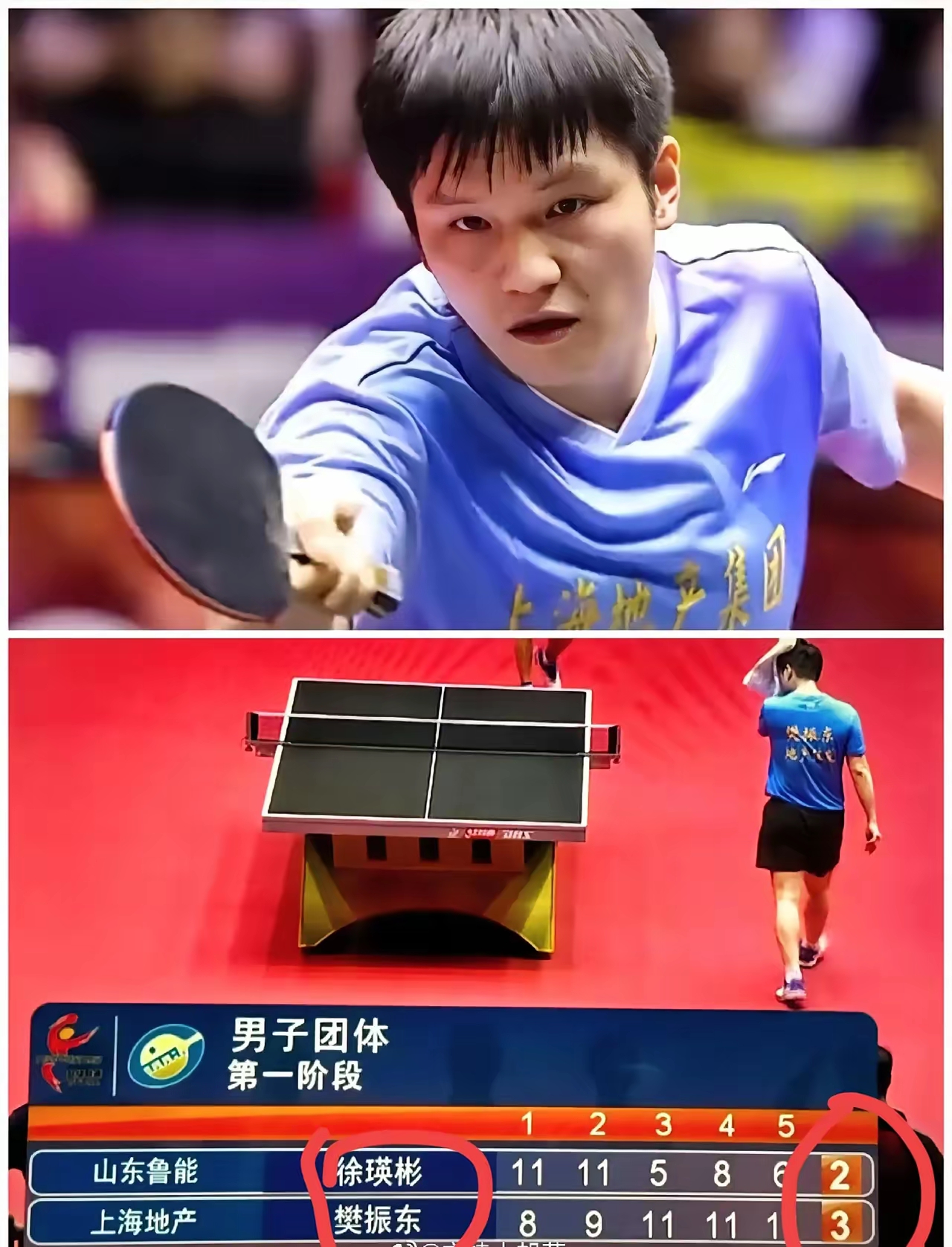 日本队轻取奥地利队,樊振东状态火热 日本队轻取奥地利队,樊振东状态火热