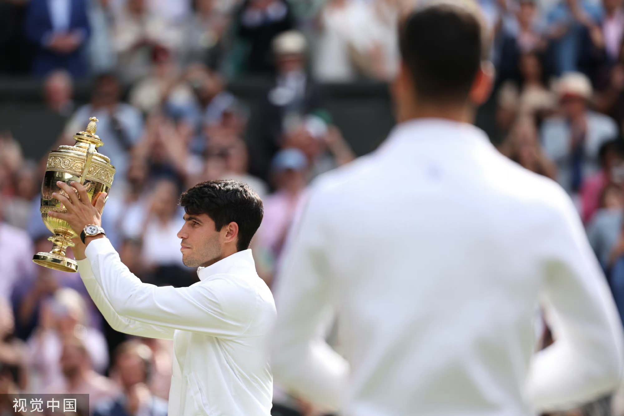 温网轻取戴维斯杯，德约科维奇带队取胜