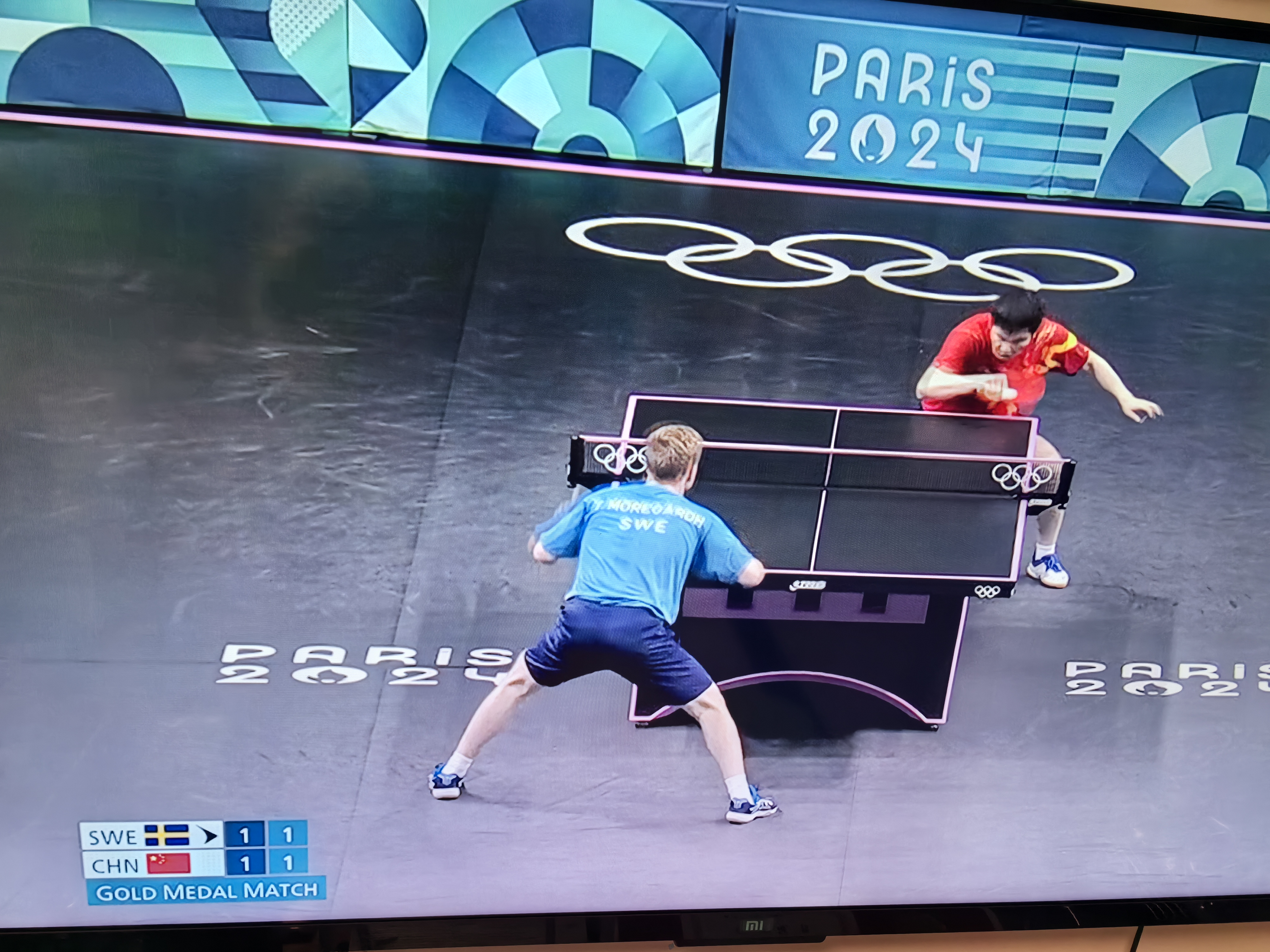 奥地利队鏖战法国队，樊振东统治全场