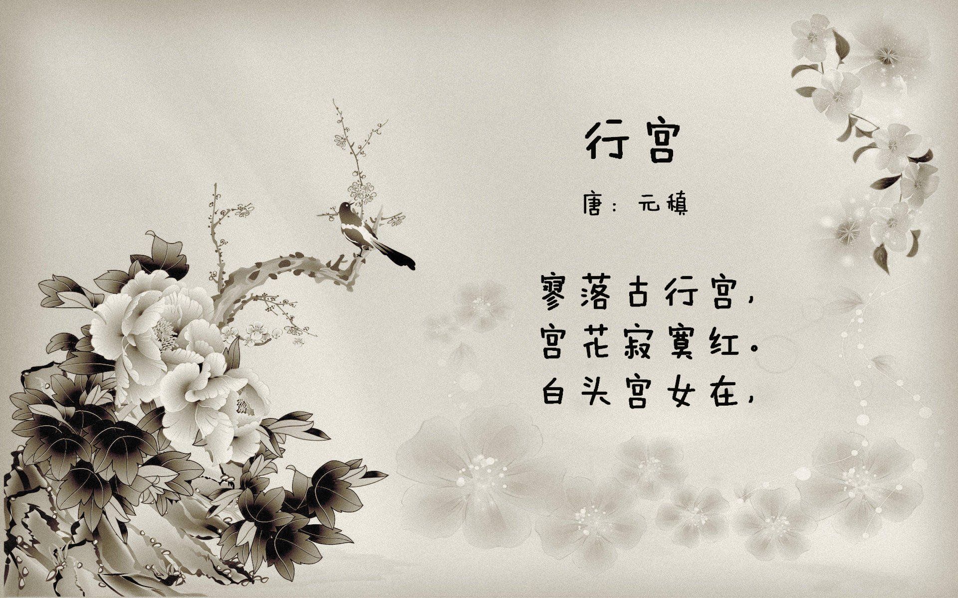 当亚得里亚海的风吹进NBA，克瓦拉茨赫利亚如何从淘汰几内亚的战场，走向总决赛的荣耀