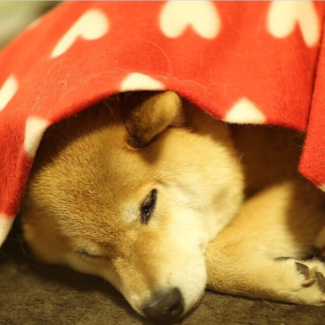 欧冠决赛之夜,劳塔罗成为胜负手