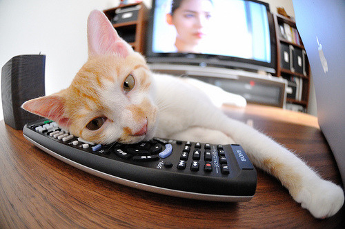 久保建英闪耀破局,国际米兰体系全面压制波兰足球崛起