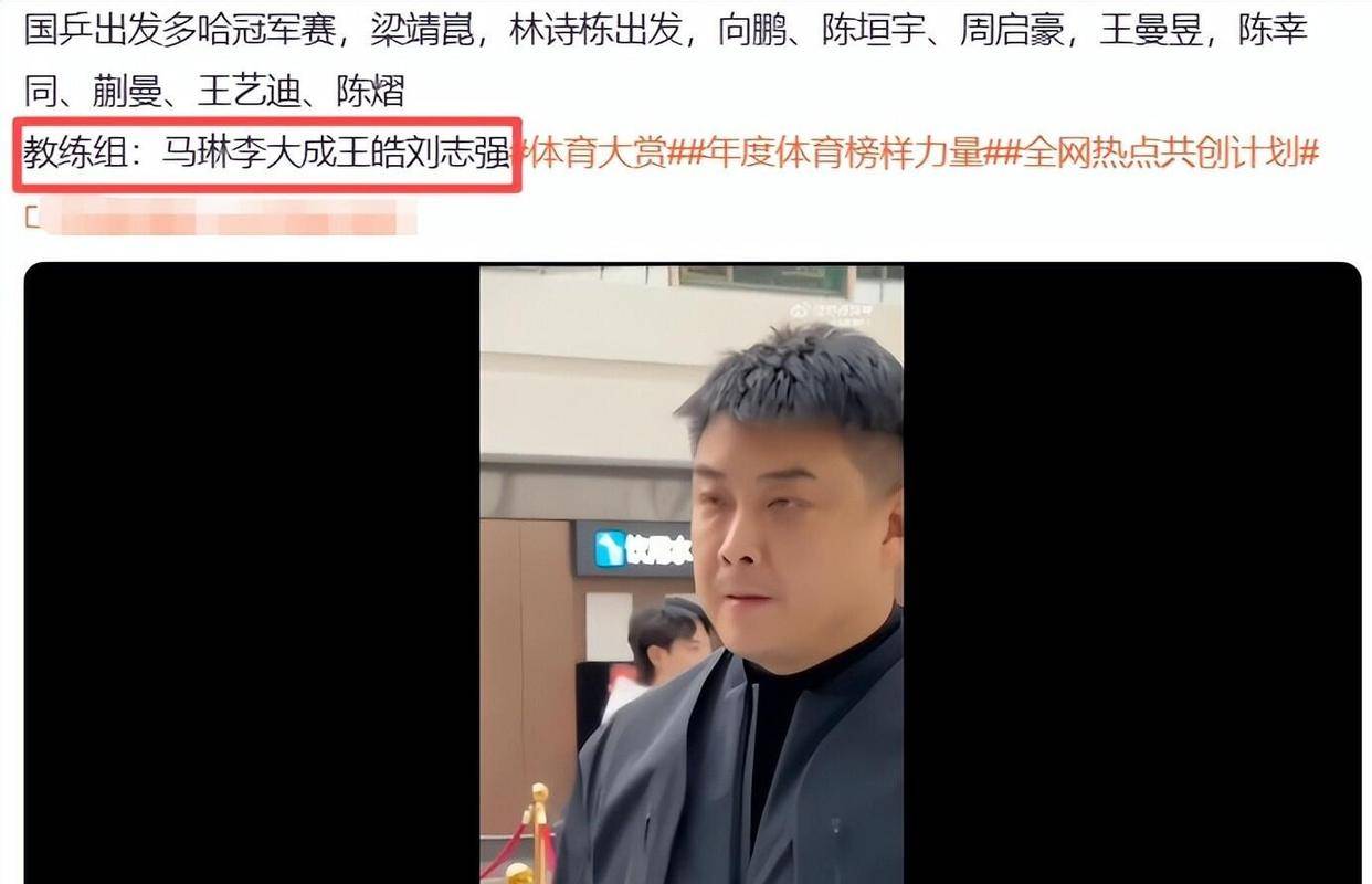 德国队横扫法国队，王皓高光表现